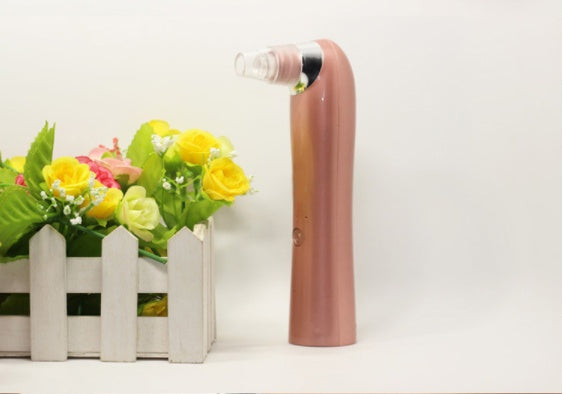 Electric household cleansing instrument
